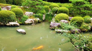 穴太寺の庭園