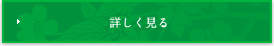 詳しく見る