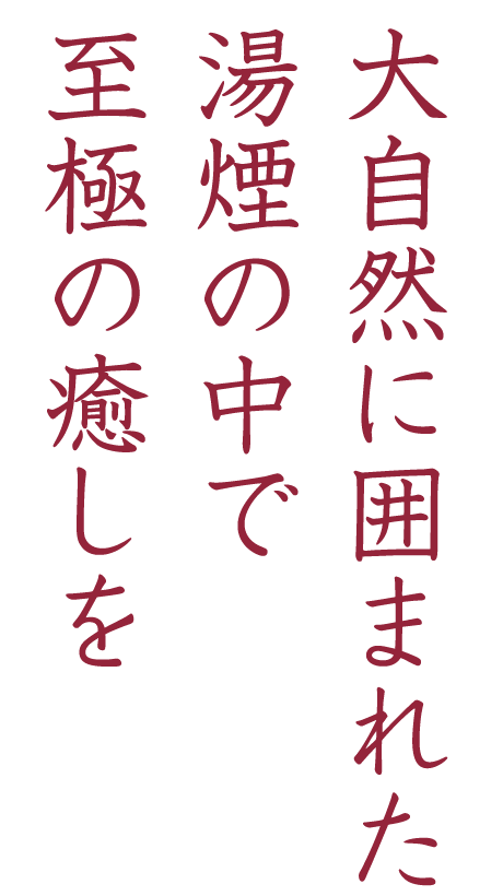 大自然に囲まれた湯煙の中で至極の癒しを